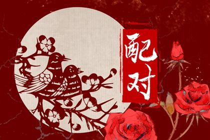 合八字:千年演进概览
